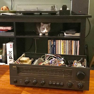 Stereo open on the coffee table while Riley sits in the space in the side table where the stereo usually sits.